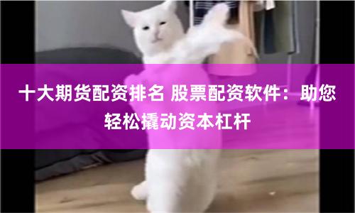 十大期货配资排名 股票配资软件：助您轻松撬动资本杠杆