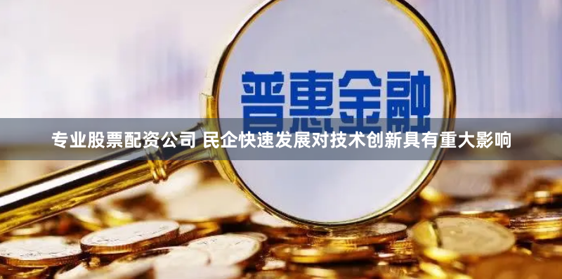 专业股票配资公司 民企快速发展对技术创新具有重大影响