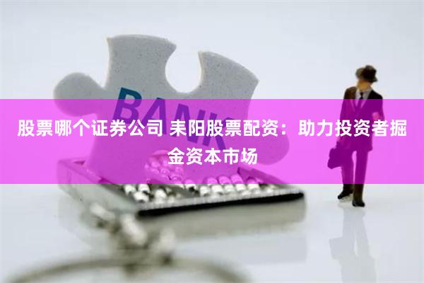 股票哪个证券公司 耒阳股票配资：助力投资者掘金资本市场