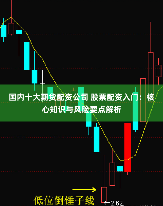 国内十大期货配资公司 股票配资入门：核心知识与风险要点解析