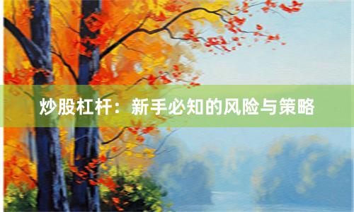 炒股杠杆：新手必知的风险与策略